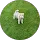 Eamonn Dillon profile picture