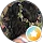 Sarah E profile picture